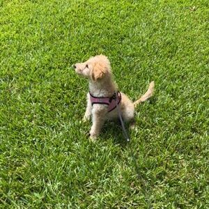 Meet your Posher, Sandra